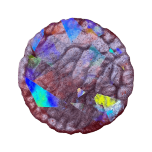 Prism Bloom Coaster